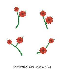 set of red flowers isolated on white background