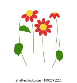 Set of red flowers with leaves on a white background. Isolated decorative elements. For posters, greetings, cards, and banners. Vector illustration. Flat style.