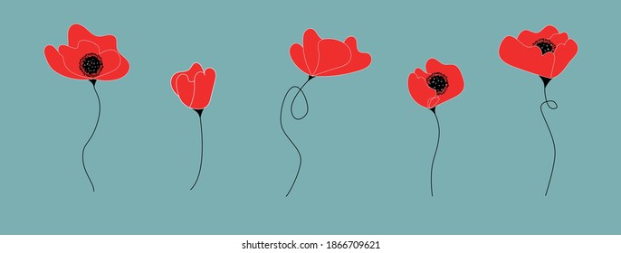 Montaje de amapolas de flores rojas. Objetos aislados sobre un fondo gris-azul. Ilustración plana moderna. Vector.