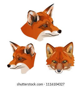 Set of red fox heads. Vector illustration isolated on white background