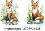 set of Red Fox Watercolor  vector illustration