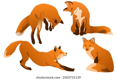 Set of red foxes. Common foxes and their cubs walk, sit, stand and hunt. Realistic vector carnivorous animal