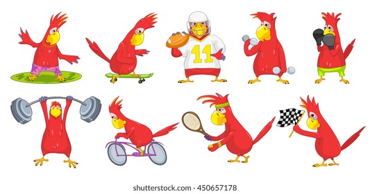 Set of red funny parrots wearing uniform and using sports equipment. Cute parrots playing tennis, rugby. Parrot riding bicycle, lifting a barbell. Vector illustration isolated on white background.