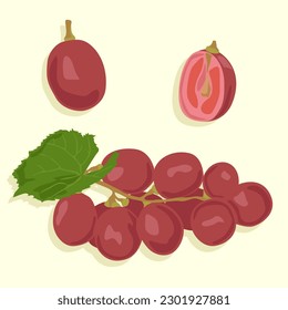 Uvas rojas. Un montón de uvas, y una sola baya entera y cortada a la mitad. Iconos de frutas en vector.