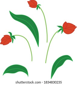 set of red and green flowers