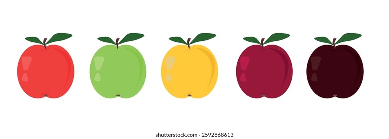  Set of red, green and yellow apples. Collection of fresh colored fruits. Apples of different colors and different periods. Healthy eating concept