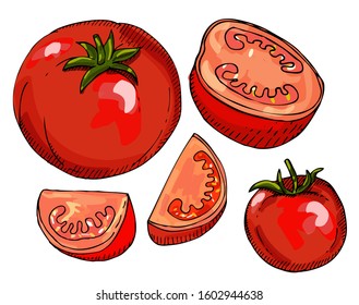 Set of red hand drawn tomatoes. Vector elements isolated on white.