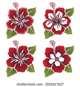 Set of red hibiscus flower with leaves. Design elements. Vector illustration.