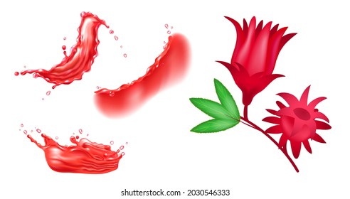 Set of red hibiscus flower and red liquid splashes. Vector realistic design elements.