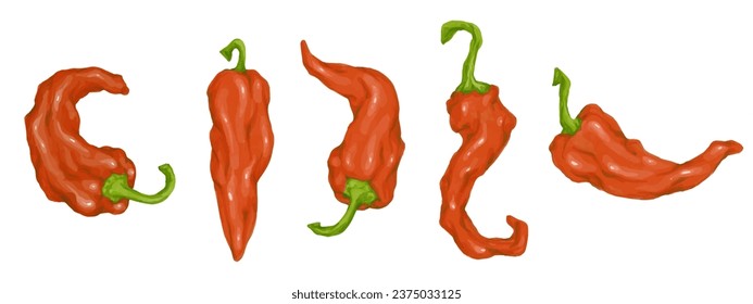 Juego de vástagos de pimienta picante. Gráficos vectoriales.