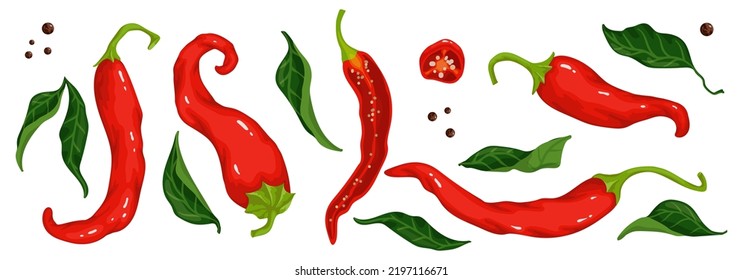 A set of red, hot chili peppers, halves and pieces of a spicy vegetable, green leaves.Vector graphics.