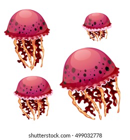Set of red jellyfish isolated on a white background. Vector cartoon close-up illustration.
