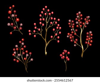 Set of red, jewelry, shiny twigs of Winterberry Holly on black background. Jewelry red Winterberry Holly.Winter Natural Decoration.