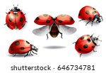 set of red ladybug isolated on white. vector illustration