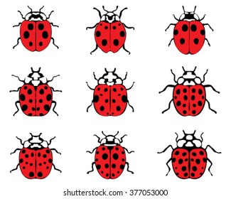 Set of red ladybugs, vector illustration