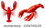 Set of red lobster illustration