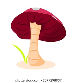 Set of red mushroom vector illustration. Perfect for fungi or plant theme