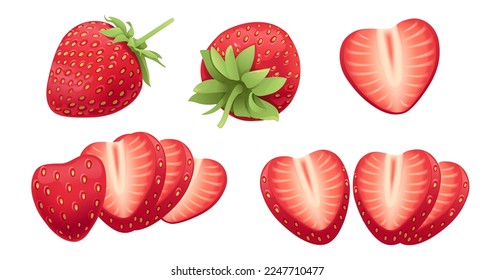 Set of Red natural fresh strawberry sweet tasty whole and sliced berry vector illustration isolated on white background