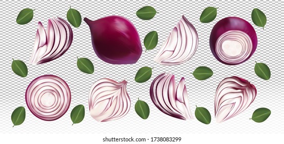 Set of red onion with leaves on transparent background. Flying red onion are whole and cut in half. 3D realistic red onion sliced, half, piece. Organic product. Vector illustration.