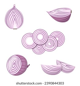 Un conjunto de cebollas rojas. Cebolla cortada a medias y rodajas, anillos de cebolla. Ilustración vectorial aislada.