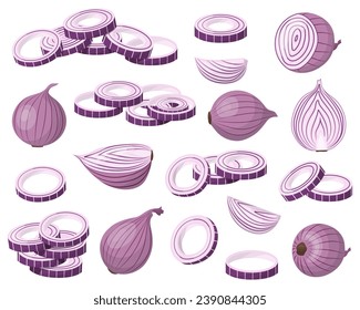A set of red onions. The onion is cut in half, rings and slices. Isolated vector illustration.