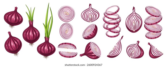 Set of red onions. Whole onion with stems, half onion, slices. Vector illustration on white background.