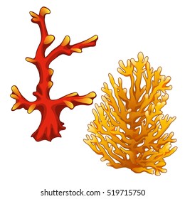 Set of red and orange corals isolated on a white background. Vector illustration.