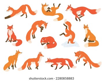 Conjunto de zorros rojos y anaranjados en diferentes poses de estilo plano, ilustración vectorial aislada en fondo blanco. Cunando animal forestal, colección de elementos de diseño, personajes divertidos