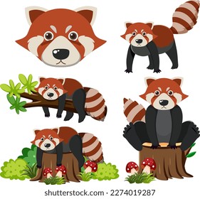 Set of red panda cartoon character illustration