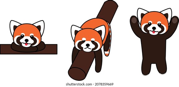 A set of red pandas standing, sleeping, and relaxing.