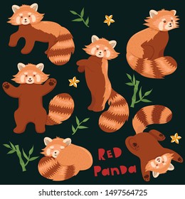 Set of red pandas. Vector graphics.