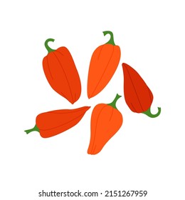 Set of red peppers isolated on white background. Vegetable illustration for farm market menu. Healthy food and vegetarian nutrition