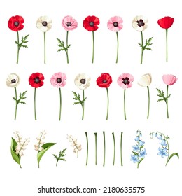 Set of red, pink, blue, and white poppy flowers, bluebell flowers, and lily of the valley flowers isolated on a white background. Vector illustration