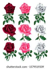 Set of red, pink and white rose flower with leaves.