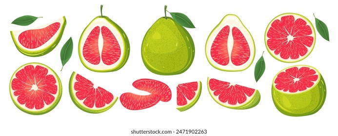 Set of red pomelo.Fresh tropical fruit whole,cut in half,pomelo slices.Vector illustration.