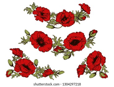 Set of red poppy flower bouquets. Hand drawn vector illustration. 