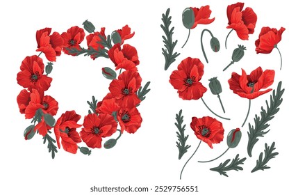 Set of red poppy flowers, leaves and petals. Collected in a beautiful wreath of bright buds for posters, prints for T-shirts, postcards, interior.