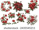 set red rose, beautiful flower