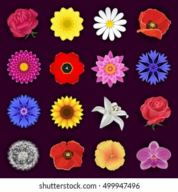 Set of red rose, orchid, lotus, cornflower, tulip, poppy, white lily, chamomile, chrysanthemum, sunflower, dahlia, dandelion. Spring and summer flowers isolated. Floral design elements, vector icons.