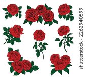 Set Red Rose sketch isolated on white background. Vector illustration.