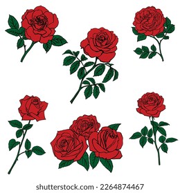 Set Red Rose sketch isolated on white background. Vector illustration.