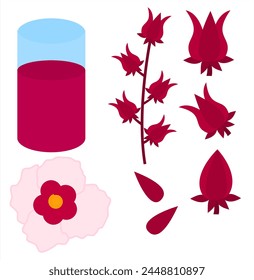 Conjunto de frutas y flores de jamaica.Okra o jamaicana sorel.Planta con flores.Vaso de jugo.Signo, símbolo, ícono o logotipo aislado.Hibiscus sabdariffa Linn.Diseño gráfico.Ilustración vectorial de dibujos animados.