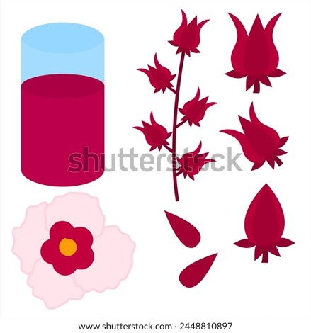 Set red roselle fruits and flower.Okra or Jamaican sorel.Plant with Blossoms.Glass of juice.Sign, symbol, icon or logo isolated.Hibiscus sabdariffa Linn.Graphic design.Cartoon vector illustration.