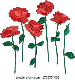 
Set of red roses. Beautiful flowers for decoration. Vector isolated illustration for wedding and holiday invitations, postcards, gifts