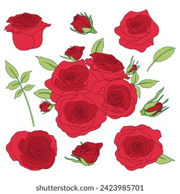 Sammlung von Rosen und grünen Blättern für Hochzeitskarte oder Valentine-Grußkarte oder Einladungs-Design-Vektorgrafik