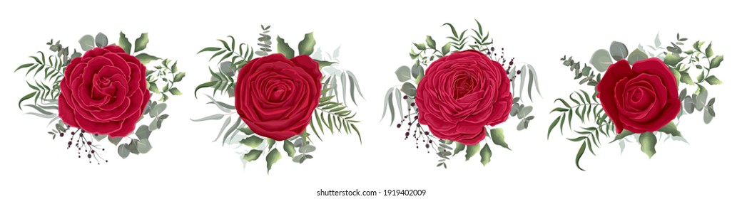 Set of red roses and different plants. Red roses, eucalyptus, berries, green leaves and plants. Flowers on a white background.