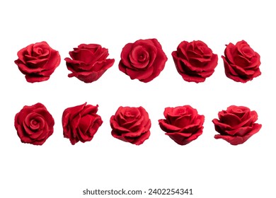 Set of Red Roses Isolated Vector on Clear Background