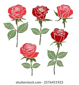 Set Of Red Roses On a White Background