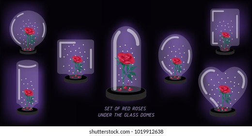 set of red roses under the glass dome,falling petals, snow night,be my valentines,vector illustration