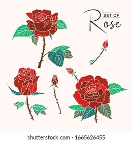 Set of red roses vector illustration